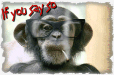 3 Monkeys Escaped from the Zoo